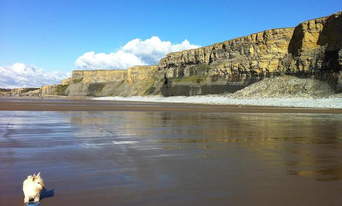 Monknash Beach